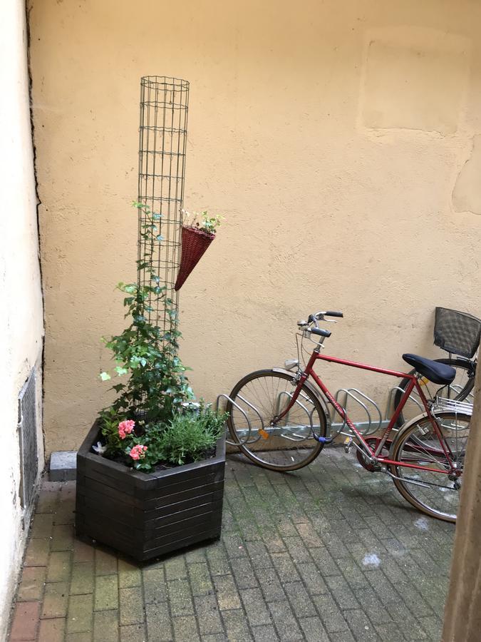 Apartamento La Cour des Cordonniers, Centre Cathédrale Petite France Estrasburgo Exterior foto